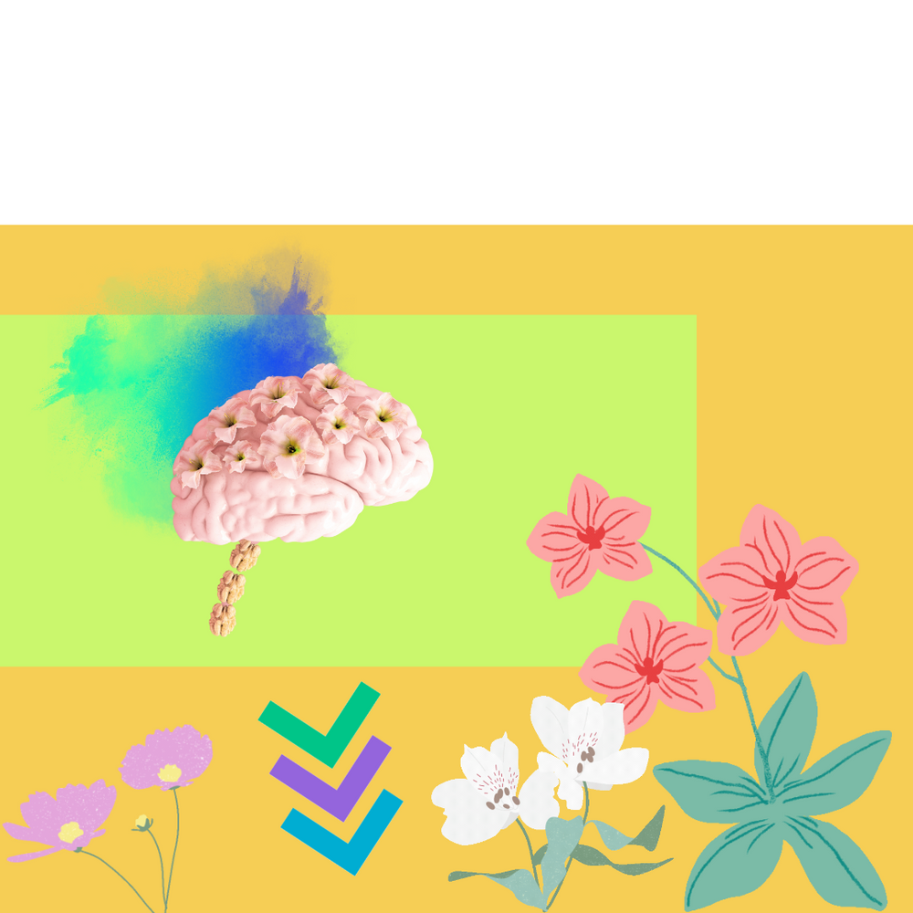 Spring into Something New