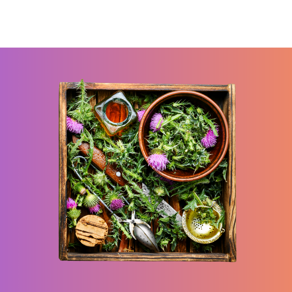 New Course Alert: Master Herbalist 201