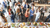 Networking Events Organizer
